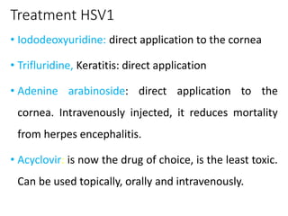 Treatment HSV1
• Iododeoxyuridine: direct application to the cornea
• Trifluridine, Keratitis: direct application
• Adenine arabinoside: direct application to the
cornea. Intravenously injected, it reduces mortality
from herpes encephalitis.
• Acyclovir: is now the drug of choice, is the least toxic.
Can be used topically, orally and intravenously.
 