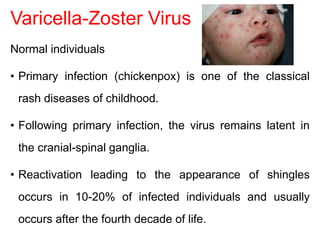 Varicella-Zoster Virus
Normal individuals
• Primary infection (chickenpox) is one of the classical
rash diseases of childhood.
• Following primary infection, the virus remains latent in
the cranial-spinal ganglia.
• Reactivation leading to the appearance of shingles
occurs in 10-20% of infected individuals and usually
occurs after the fourth decade of life.
 