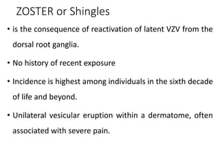 ZOSTER or Shingles
• is the consequence of reactivation of latent VZV from the
dorsal root ganglia.
• No history of recent exposure
• Incidence is highest among individuals in the sixth decade
of life and beyond.
• Unilateral vesicular eruption within a dermatome, often
associated with severe pain.
 