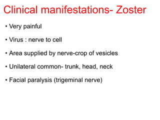 Clinical manifestations- Zoster
• Very painful
• Virus : nerve to cell
• Area supplied by nerve-crop of vesicles
• Unilateral common- trunk, head, neck
• Facial paralysis (trigeminal nerve)
 