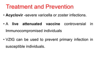 Treatment and Prevention
• Acyclovir -severe varicella or zoster infections.
• A live attenuated vaccine controversial in
Immunocompromised individuals
• VZIG can be used to prevent primary infection in
susceptible individuals.
 