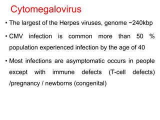 Cytomegalovirus
• The largest of the Herpes viruses, genome ~240kbp
• CMV infection is common more than 50 %
population experienced infection by the age of 40
• Most infections are asymptomatic occurs in people
except with immune defects (T-cell defects)
/pregnancy / newborns (congenital)
 
