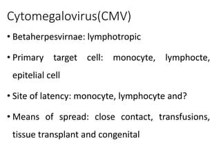 Cytomegalovirus(CMV)
• Betaherpesvirnae: lymphotropic
• Primary target cell: monocyte, lymphocte,
epitelial cell
• Site of latency: monocyte, lymphocyte and?
• Means of spread: close contact, transfusions,
tissue transplant and congenital
 
