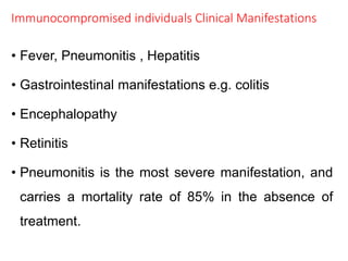 Immunocompromised individuals Clinical Manifestations
• Fever, Pneumonitis , Hepatitis
• Gastrointestinal manifestations e.g. colitis
• Encephalopathy
• Retinitis
• Pneumonitis is the most severe manifestation, and
carries a mortality rate of 85% in the absence of
treatment.
 