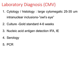 Laboratory Diagnosis (CMV)
1. Cytology / histology : large cytomegalic 25-35 um
intranuclear inclusions-”owl’s eye”
2. Culture -Gold standard 4-6 weeks
3. Nucleic acid antigen detection IFA, IE
4. Serology
5. PCR
 