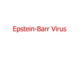 Epstein-Barr Virus
 