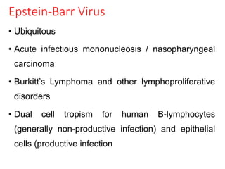 Epstein-Barr Virus
• Ubiquitous
• Acute infectious mononucleosis / nasopharyngeal
carcinoma
• Burkitt’s Lymphoma and other lymphoproliferative
disorders
• Dual cell tropism for human B-lymphocytes
(generally non-productive infection) and epithelial
cells (productive infection
 