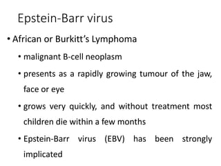 Epstein-Barr virus
• African or Burkitt’s Lymphoma
• malignant B-cell neoplasm
• presents as a rapidly growing tumour of the jaw,
face or eye
• grows very quickly, and without treatment most
children die within a few months
• Epstein-Barr virus (EBV) has been strongly
implicated
 