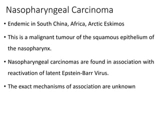 Nasopharyngeal Carcinoma
• Endemic in South China, Africa, Arctic Eskimos
• This is a malignant tumour of the squamous epithelium of
the nasopharynx.
• Nasopharyngeal carcinomas are found in association with
reactivation of latent Epstein-Barr Virus.
• The exact mechanisms of association are unknown
 