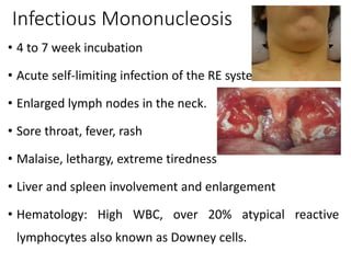Infectious Mononucleosis
• 4 to 7 week incubation
• Acute self-limiting infection of the RE system
• Enlarged lymph nodes in the neck.
• Sore throat, fever, rash
• Malaise, lethargy, extreme tiredness
• Liver and spleen involvement and enlargement
• Hematology: High WBC, over 20% atypical reactive
lymphocytes also known as Downey cells.
 