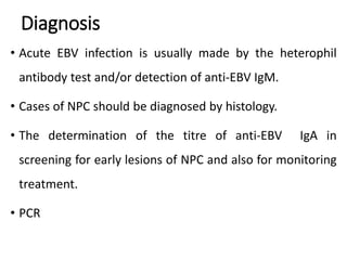 Diagnosis
• Acute EBV infection is usually made by the heterophil
antibody test and/or detection of anti-EBV IgM.
• Cases of NPC should be diagnosed by histology.
• The determination of the titre of anti-EBV IgA in
screening for early lesions of NPC and also for monitoring
treatment.
• PCR
 