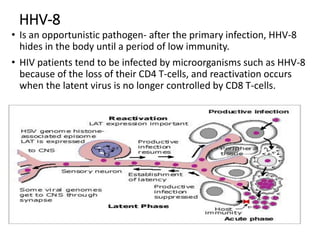 HHV-8
• Is an opportunistic pathogen- after the primary infection, HHV-8
hides in the body until a period of low immunity.
• HIV patients tend to be infected by microorganisms such as HHV-8
because of the loss of their CD4 T-cells, and reactivation occurs
when the latent virus is no longer controlled by CD8 T-cells.
 