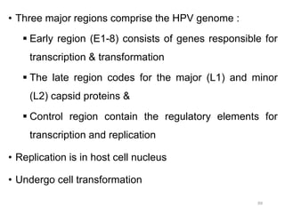• Three major regions comprise the HPV genome :
 Early region (E1-8) consists of genes responsible for
transcription & transformation
 The late region codes for the major (L1) and minor
(L2) capsid proteins &
 Control region contain the regulatory elements for
transcription and replication
• Replication is in host cell nucleus
• Undergo cell transformation
99
 