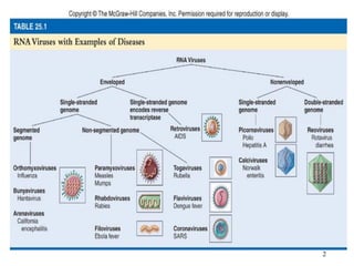 3.2. MEDICAL IMPORTANT RNA VIRUS.pdf for dent | PDF
