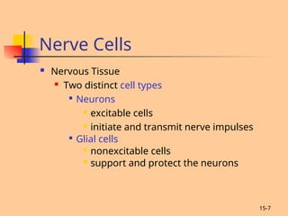 Nervous system human anatomy types and properties | PPT