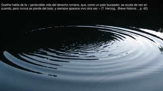 Goethe habla de la « perdurable vida del derecho romano, que, como un pato buceador, se oculta de vez en
cuando, pero nunca se pierde del todo, y siempre aparece vivo otra vez » (T. Herzog, Breve historia… p. 42)
 