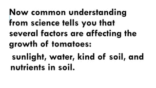 Now common understanding
from science tells you that
several factors are affecting the
growth of tomatoes:
sunlight, water, kind of soil, and
nutrients in soil.
 
