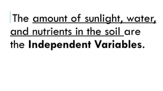 The amount of sunlight, water,
and nutrients in the soil are
the Independent Variables.
 