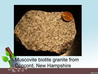 Muscovite biotite granite from
Concord, New Hampshire
 