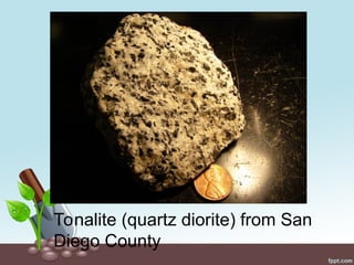 Tonalite (quartz diorite) from San
Diego County
 