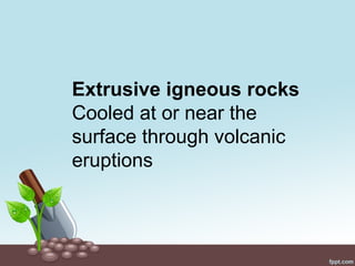 Extrusive igneous rocks
Cooled at or near the
surface through volcanic
eruptions
 