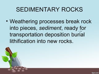 SEDIMENTARY ROCKS
• Weathering processes break rock
into pieces, sediment, ready for
transportation deposition burial
lithification into new rocks.
 