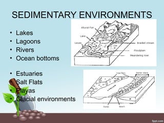 SEDIMENTARY ENVIRONMENTS
• Lakes
• Lagoons
• Rivers
• Ocean bottoms
• Estuaries
• Salt Flats
• Playas
• Glacial environments
 