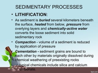 SEDIMENTARY PROCESSES
• LITHIFICATION:
• As sediment is buried several kilometers beneath
the surface, heated from below, pressure from
overlying layers and chemically-active water
converts the loose sediment into solid
sedimentary rock
• Compaction - volume of a sediment is reduced
by application of pressure
• Cementation - sediment grains are bound to
each other by materials originally dissolved during
chemical weathering of preexisting rocks
– typical chemicals include silica and calcium
carbonate.
 
