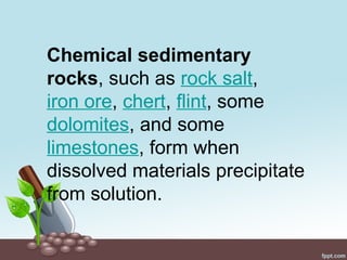 Chemical sedimentary
rocks, such as rock salt,
iron ore, chert, flint, some
dolomites, and some
limestones, form when
dissolved materials precipitate
from solution.
 