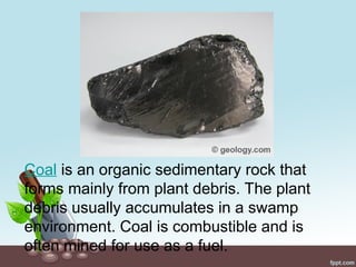 Coal is an organic sedimentary rock that
forms mainly from plant debris. The plant
debris usually accumulates in a swamp
environment. Coal is combustible and is
often mined for use as a fuel.
 