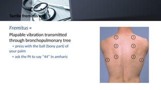 Friction Fremitus chest examination for internal medicinecine | PPTX