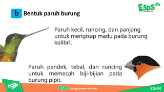 3. PPT IPAS 6 Ciri-ciri Khusus Makhluk Hidup [modulguruku.com].pptx