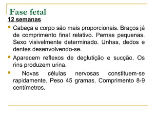 DesenvolvimentoS embrionário e fetal.ppt