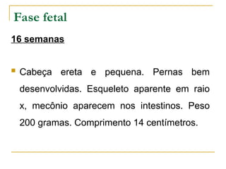 DesenvolvimentoS embrionário e fetal.ppt