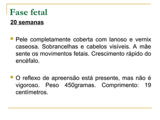 DesenvolvimentoS embrionário e fetal.ppt
