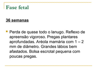 36 semanas
 Perda de quase todo o lanugo. Reflexo de
apreensão vigoroso. Pregas plantares
aprofundadas. Aréola mamária com 1 – 2
mm de diâmetro. Grandes lábios bem
afastados. Bolsa escrotal pequena com
poucas pregas.
Fase fetal
 