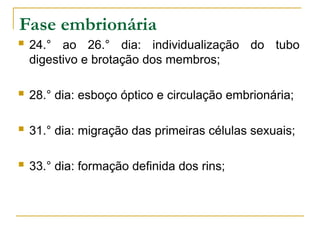  24.° ao 26.° dia: individualização do tubo
digestivo e brotação dos membros;
 28.° dia: esboço óptico e circulação embrionária;
 31.° dia: migração das primeiras células sexuais;
 33.° dia: formação definida dos rins;
Fase embrionária
 