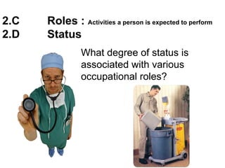 2.C Roles : Activities a person is expected to perform
2.D Status
What degree of status is
associated with various
occupational roles?
 