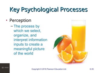 Copyright © 2016 Pearson Education Ltd. 6-35
Key Psychological Processes
Key Psychological Processes
• Perception
– The process by
which we select,
organize, and
interpret information
inputs to create a
meaningful picture
of the world
 