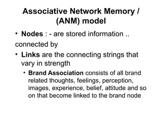 Associative Network Memory /
(ANM) model
• Nodes : - are stored information ..
connected by
• Links are the connecting strings that
vary in strength
• Brand Association consists of all brand
related thoughts, feelings, perception,
images, experience, belief, attitude and so
on that become linked to the brand node
 