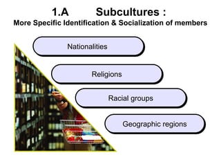 1.A Subcultures :
More Specific Identification & Socialization of members
Nationalities
Religions
Racial groups
Geographic regions
 