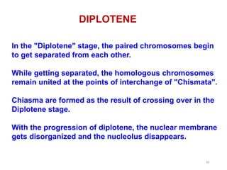 3. Cell Division_Mitosis-Meiosis and all stages.pptx