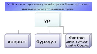 Лекц №3 Ургамлын газрын дээрх эрхтний бүтэц түүний онцлог.pptx
