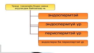 Лекц №3 Ургамлын газрын дээрх эрхтний бүтэц түүний онцлог.pptx