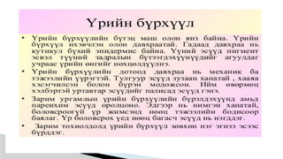 Лекц №3 Ургамлын газрын дээрх эрхтний бүтэц түүний онцлог.pptx
