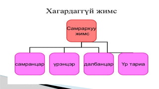 Лекц №3 Ургамлын газрын дээрх эрхтний бүтэц түүний онцлог.pptx