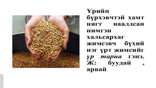 Лекц №3 Ургамлын газрын дээрх эрхтний бүтэц түүний онцлог.pptx