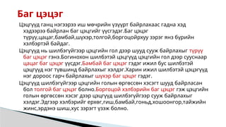 Цэцгүүд ганц нэгээрээ иш мөчрийн үзүүрт байрлахаас гадна хэд
хэдээрээ байрлан баг цэцгийг үүсгэдэг.Баг цэцэг
түрүү,цацаг,бамбай,шүхэр,толгой,боргоцойрхуу зэрэг янз бүрийн
хэлбэртэй байдаг.
Цэцгүүд нь шилбэгүйгээр цэцгийн гол дээр шууд сууж байрлахыг түрүү
баг цэцэг гэнэ.Богинохон шилбэтэй цэцгүүд цэцгийн гол дээр сууснаар
цацаг баг цэцэг үүсдэг.Бамбай баг цэцэг гэдэг ижил бус шилбэтэй
цэцгүүд нэг түвшинд байрлахыг хэлдэг.Харин ижил шилбэтэй цэцэгүүд
нэг дороос гарч байрлахыг шүхэр баг цэцэг гэдэг.
Цэцгүүд шилбэгүйгээр цэцгийн голын өргөссөн хэсэгт шууд байрласан
бол толгой баг цэцэг болно.Боргоцой хэлбэрийн баг цэцэг гэж цэцгийн
голын өргөссөн хэсэг дээр цэцгүүд шилбэгүйгээр сууж байрлахыг
хэлдэг.Эдгээр хэлбэрийг ерхөг,гиш,бамбай,гоньд,хошоонгор,тайжийн
жинс,эрдэнэ шиш,хус зэрэгт үзэж болно.
Баг цэцэг
 