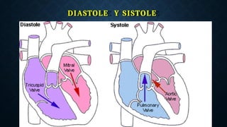 DIASTOLE Y SISTOLE
 