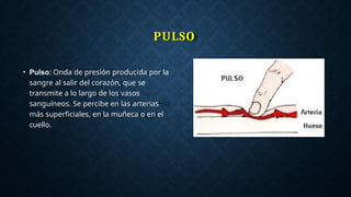 PULSO
• Pulso: Onda de presión producida por la
sangre al salir del corazón, que se
transmite a lo largo de los vasos
sanguíneos. Se percibe en las arterias
más superficiales, en la muñeca o en el
cuello.
 